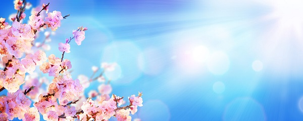 戰(zhàn)疫情，北京韋林公司全體員工齊心協(xié)力共克時艱！